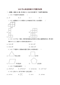 【中考数学】2025年山东省济南市中考适应性模拟试卷（含解析）