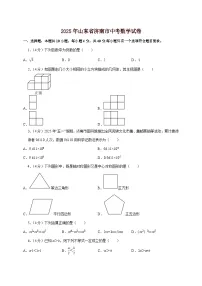 【中考数学】2025年山东省济南市中考适应性模拟试卷(含解析)