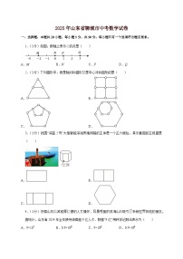 【中考数学】2025年山东省聊城市中考适应性模拟试卷（含解析）