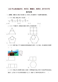 【中考数学】2025年山东省临沂市、枣庄市、聊城市、菏泽市、济宁市中考适应性模拟试卷（含解析）