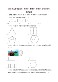 【中考数学】2025年山东省临沂市、枣庄市、聊城市、菏泽市、济宁市中考适应性模拟试卷(含解析)