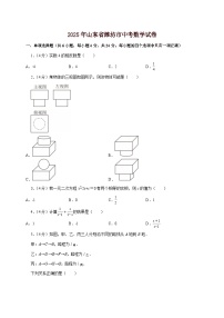 【中考数学】2025年山东省潍坊市中考适应性模拟试卷（含解析）