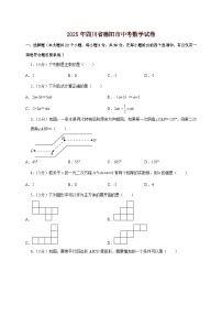 【中考数学】2025年四川省德阳市中考适应性模拟试卷（含解析）