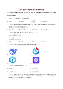 【中考数学】2025年四川省泸州市中考适应性模拟试卷（含解析）