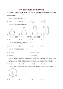 【中考数学】2025年四川省宜宾市中考适应性模拟试卷（含解析）