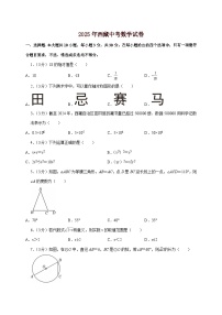 【中考数学】2025年西藏中考适应性模拟试卷（含解析）