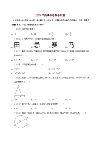 【中考数学】2025年西藏中考适应性模拟试卷（含解析）