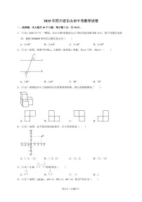 2025年四川省乐山市【中考数学】试题(原卷+解析)