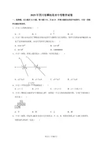 2025年四川省攀枝花市【中考数学】试题（原卷+解析）