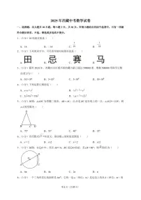 2025年西藏【中考数学】试题（原卷+解析）