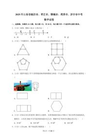2025年山东省临沂市、枣庄市、聊城市、菏泽市、济宁市【中考数学】试题（原卷+解析）