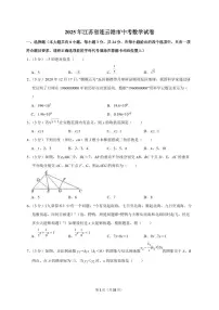 2025年江苏省连云港市【中考数学】试题（原卷+解析）