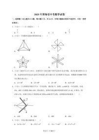 2025年青海省【中考数学】试题（原卷+解析）
