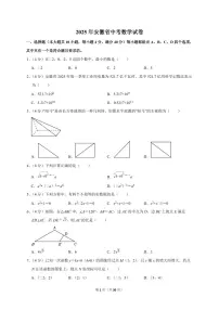 2025年安徽省【中考数学】试题(原卷+解析)