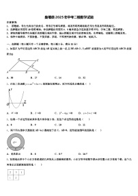 桑植县2025年中考二模数学试题含解析