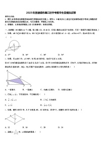 2025年景德镇市昌江区中考数学全真模拟试卷含解析