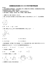 玉树藏族自治州玉树县2024-2025学年中考数学押题试卷含解析
