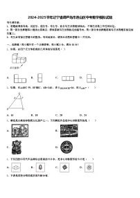 2024-2025学年辽宁省葫芦岛市连山区中考数学模拟试题含解析