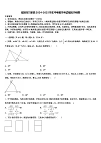 昭通市巧家县2024-2025学年中考数学考试模拟冲刺卷含解析