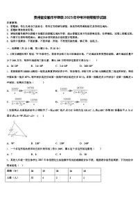 贵州省安顺市平坝县2025年中考冲刺卷数学试题含解析