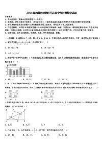 2025届西藏阿里地区札达县中考五模数学试题含解析
