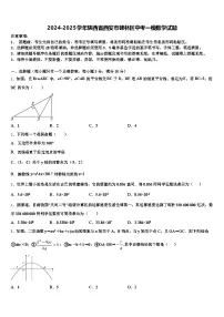 2024-2025学年陕西省西安市碑林区中考一模数学试题含解析