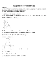 陕西省安康市2025年中考冲刺卷数学试题含解析