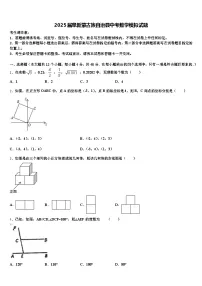 2025届阜新蒙古族自治县中考数学模拟试题含解析