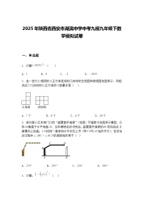 2025年陕西省西安市湖滨中学中考九模九年级下数学模拟试卷（含答案解析）
