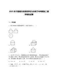 2025年宁夏银川市景博学校九年级下中考横拟二数学模拟试卷（含答案解析）