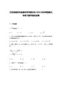 江苏省南京市金陵中学河西分校2025年中考四模九年级下数学模拟试卷（含答案解析）