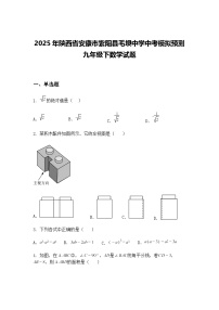2025年陕西省安康市紫阳县毛坝中学中考模拟预测九年级下数学试题（含答案解析）