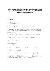 2025年陕西省咸阳市永寿县马坊中学中考第七次中考模拟九年级下数学试题（含答案解析）