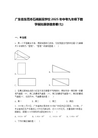 广东省东莞市石碣新民学校2025年中考九年级下数学模拟原创信息卷(七)（含答案解析）