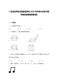 广东省东莞市石碣新民学校2025年中考九年级下数学模拟原创信息卷(四)（含答案解析）