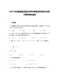 2025年云南省临沧地区中学中考适应性考试九年级下数学模拟试题（含答案解析）