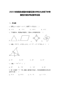 2025年陕西省咸阳市秦都区部分学校九年级下中考第四次模拟考试数学试题（含答案解析）