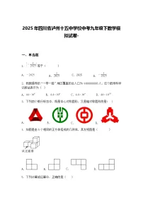 2025年四川省泸州十五中学校中考九年级下数学模拟试卷-（含答案解析）
