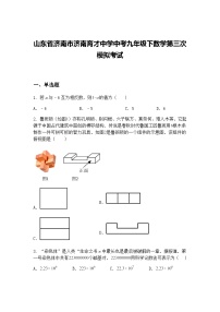山东省济南市济南育才中学中考九年级下数学第三次模拟考试（含答案解析）