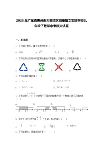 2025年广东省惠州市大亚湾区博雅培文实验学校九年级下数学中考模拟试题（含答案解析）