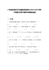 广东省东莞市万江区翰林实验学校2024-2025学年下学期九年级下数学中考模拟试题（含答案解析）