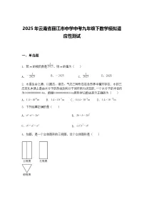 2025年云南省丽江市中学中考九年级下数学模拟适应性测试（含答案解析）