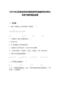 2025年江苏省徐州市沛县实验学校联盟学区中考九年级下数学模拟试卷（含答案解析）