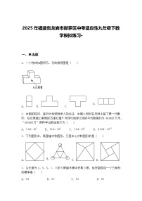 2025年福建省龙岩市新罗区中考适应性九年级下数学模拟练习·（含答案解析）
