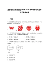 湖北省武汉市武昌区2024-2025学年中考模拟九年级下数学试卷（含答案解析）