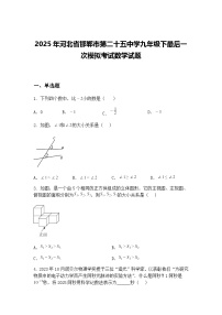 2025年河北省邯郸市第二十五中学九年级下最后一次模拟考试数学试题（含答案解析）