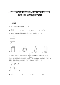 2025年青海省格尔木市第五中学初中学业水平考试模拟（四）九年级下数学试卷（含答案解析）