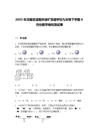 2025年河南省洛阳市地矿双语学校九年级下学期6月份数学模拟测试卷（含答案解析）