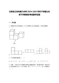 甘肃省兰州市第八中学2024-2025学年下学期九年级下诊断模拟考试数学试题（含答案解析）
