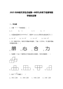 2025年中新天津生态城第一中学九年级下结课考数学模拟试卷（含答案解析）